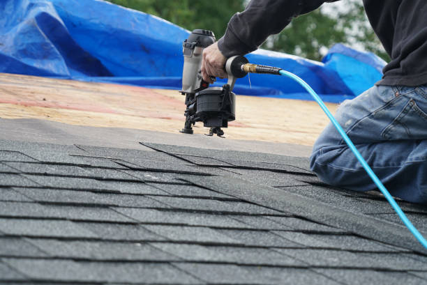 Best Gutter Installation and Repair  in Chestnut Ridge, NY
